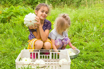 Two little girl sisters holding fresh squashes in their hands near a bowl with harvesting squashes and smiling. Rural scene outdoors