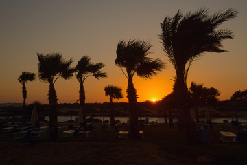 Wall Mural - Sunset on the beach with sun loungers and palm trees