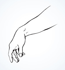 Wall Mural - Relaxed hand. Vector drawing