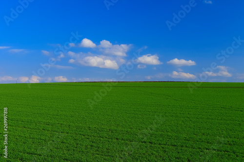 日本北海道草原と丘stock Photo Adobe Stock 日本北海道草原と丘stock Photo Adobe Stock