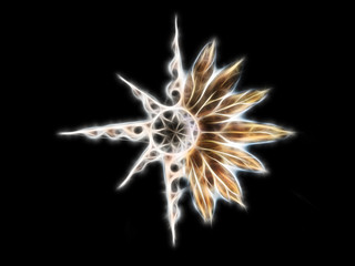 Aufkleber - Ornamental graphic in shape of a star with feathers, fractal effect.