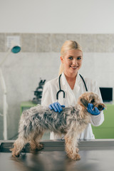 woman veterinarian posing with dog at the clinic