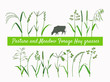 Set of vector vintage style botanical illustration of hay and forage plants 