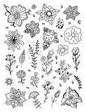 Fototapeta Kwiaty - Flowers and blossoms outline hand drawn vector set. Botanical illustrations on white background