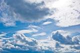Fototapeta Niebo - white cumulus clouds in the form of cotton wool on a blue sky. background, bright sky texture