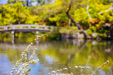 Canvas Print - eikando temple in kyoto japan