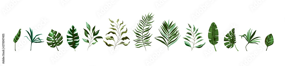 Collection of tropical greenery leaf plant herbs leaves monstera palm - obrazy, fototapety, plakaty 