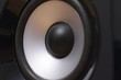 © CoinUp - Studio speaker detail, black and silver driver