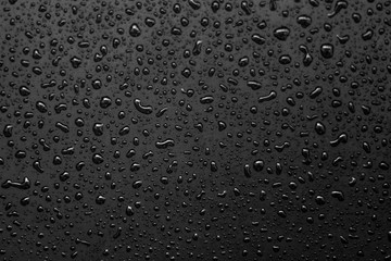 Wall Mural - abstract water drops on a white background