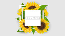Minimal Geometric Frame With Yellow Sunflower And Leaf. Vector Illustration For Summer Design, Romantic Design Template Or Nature Related Background