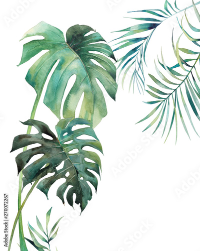 Watercolor tropical leaves poster. Hand painted exotic monstera and palm green branches isolated on white background. Summer plants illustration