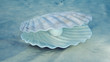 Mother of pearls underwater. Sea shell underwater. Beautiful pearls, expensive jewelry. Oysters and pearls on the underwater sandy seabed. Sunlight beams and shine through water, 3D Illustration