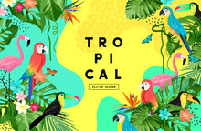 Exotic Jungle Summer Background Frame Layout With Palm Leaves And Tropical Birds. Vector Illustration