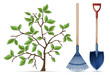 Gardening equipment tools for springtime working. Shovel, rake and spring tree with green leaves on branches, Isolated on white background. Eps10 vector illustration.