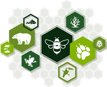 Biodiversity Icon Concept – Endangered Species & Biological Diversity Icons, Vector Illustration