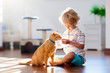 © famveldman - Child playing with cat at home. Kids and pets.