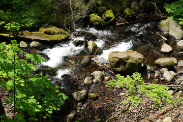 waterfall with rocks