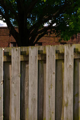 Wall Mural - Wooden fence