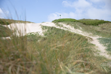 The Western coast of Denmark