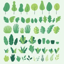Vector Set Of Flat Illustrations Of Plants, Trees, Leaves, Branches, Bushes And Pots