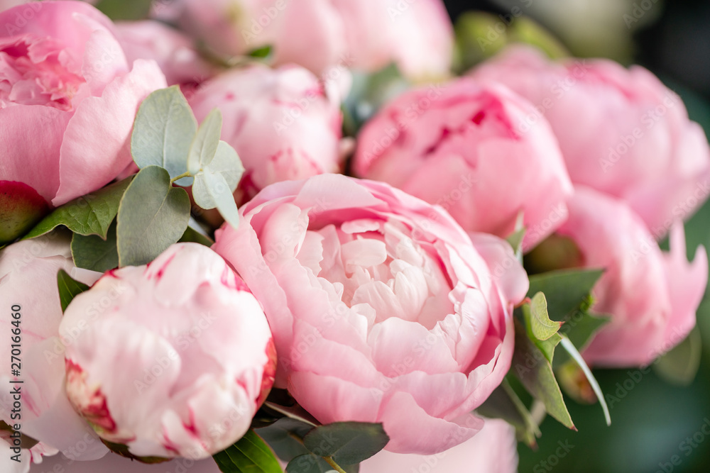Close-up of flowers Pink peonies . Beautiful peony flower for catalog or online store. Floral shop concept . Beautiful fresh cut bouquet. Flowers delivery - obrazy, fototapety, plakaty 