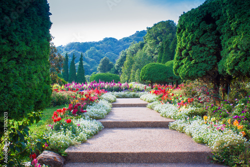 Mountain flower garden in Thailand