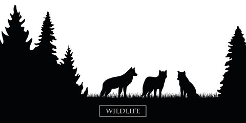 wildlife wolfs pack silhouette in the forest on the meadow black and white vector illustration EPS10