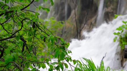 Wall Mural - Green trees and falling water