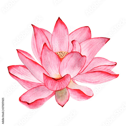 Canvastavla  Wtercolor tropical flower lotus