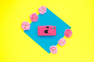 Wall Mural - Pink camera and pink roses in vibrant bold color on dual background. fashion concept. minimalism. Flat lay, top view, Summer concept.