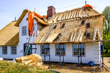 Wall Mural - new thatched roof