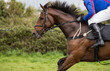 © Gabriel Cassan - Side profile of galloping race horse, Close up on race horse and jockey in a race