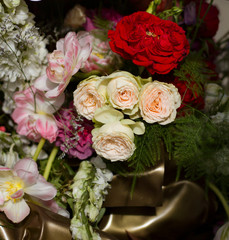 Wall Mural - composition of red, pink and white roses on a blurred background.