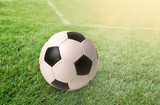 Fototapeta Sport - Football ball on green grass at sunny day