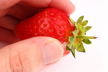 Poster - The hand holds a strawberry on a white background close up