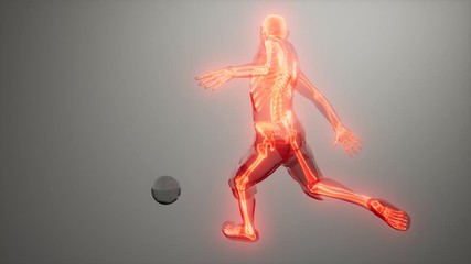 Wall Mural - soccer player with visible bones Medical Scan