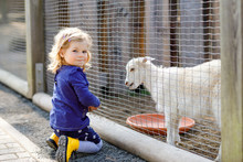 Adorable Cute Toddler Girl Feeding Little Goats And Sheeps On A Kids Farm. Beautiful Baby Child Petting Animals In The Zoo. Excited And Happy Girl On Family Weekend.