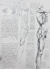 Anatomical notes. Leg, foot. Manuscripts of Leonardo da Vinci in the vintage book Leonardo da Vinci by A.L. Volynskiy, St. Petersburg, 1899