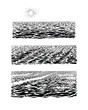 Sea waves, hand drawn ink sketch. Vector illustrations of big water with horizon.