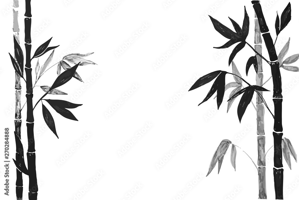 Stock-Vektorgrafik Drawing bamboo branches and leaves on the white  background. Bamboo plant silhouette. | Adobe Stock