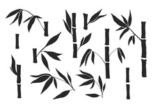 Drawing Bamboo Parts And Section Of Branches And Leaves Isolated On The White Background. Bamboo Plant Silhouettes And Shapes For Design.