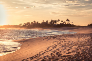 Wall Mural - Beach sunset travel vacation lifestyle landscape with palm trees wide sand coastline waves with scenic orange sunset sky in Sri Lanka Tangalle beach