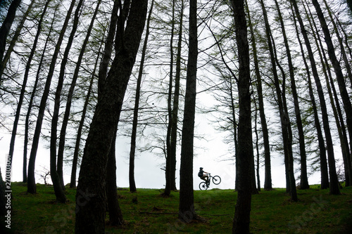 Riding A Mountain Bike On The Edge Of Mountain Forest Woods
