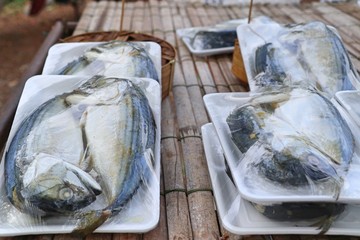 Canvas Print - Fresh mackerel at the market