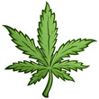 Green Marijuana Weed Leaf Cartoon Drawing