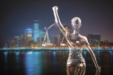 Wall Mural - Lawyer.