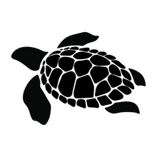 Turtle Marine Animal Illustration. Sea Turtle. Simple Illustration Of Turtle Marine Animal Vector Icon For Web Design Isolated On White Background