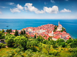 Wall Mural - Aerial view of old town Piran. Splendid spring morning on Adriatic Sea. Beautiful cityscape of Slovenia, Europe. Traveling concept background. Magnificent Mediterranean landscape.