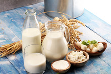 Milk Products. Tasty Healthy Dairy Products On A Table. Sour Cream In A White Bowl, Cottage Cheese Bowl, Cream In A A Bank And Milk Jar, Glass Bottle And In A Glass