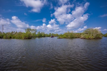 Wall Mural - Canoe ride through backwater canals in Munroe Island